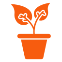 potted plant (2)